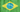 AffectionateVolebnica Brasil